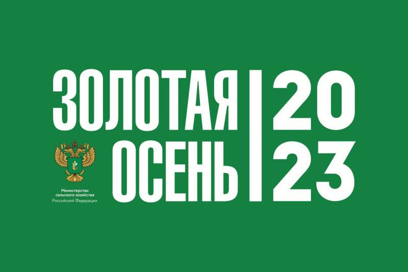«Золотая осень – 2023»