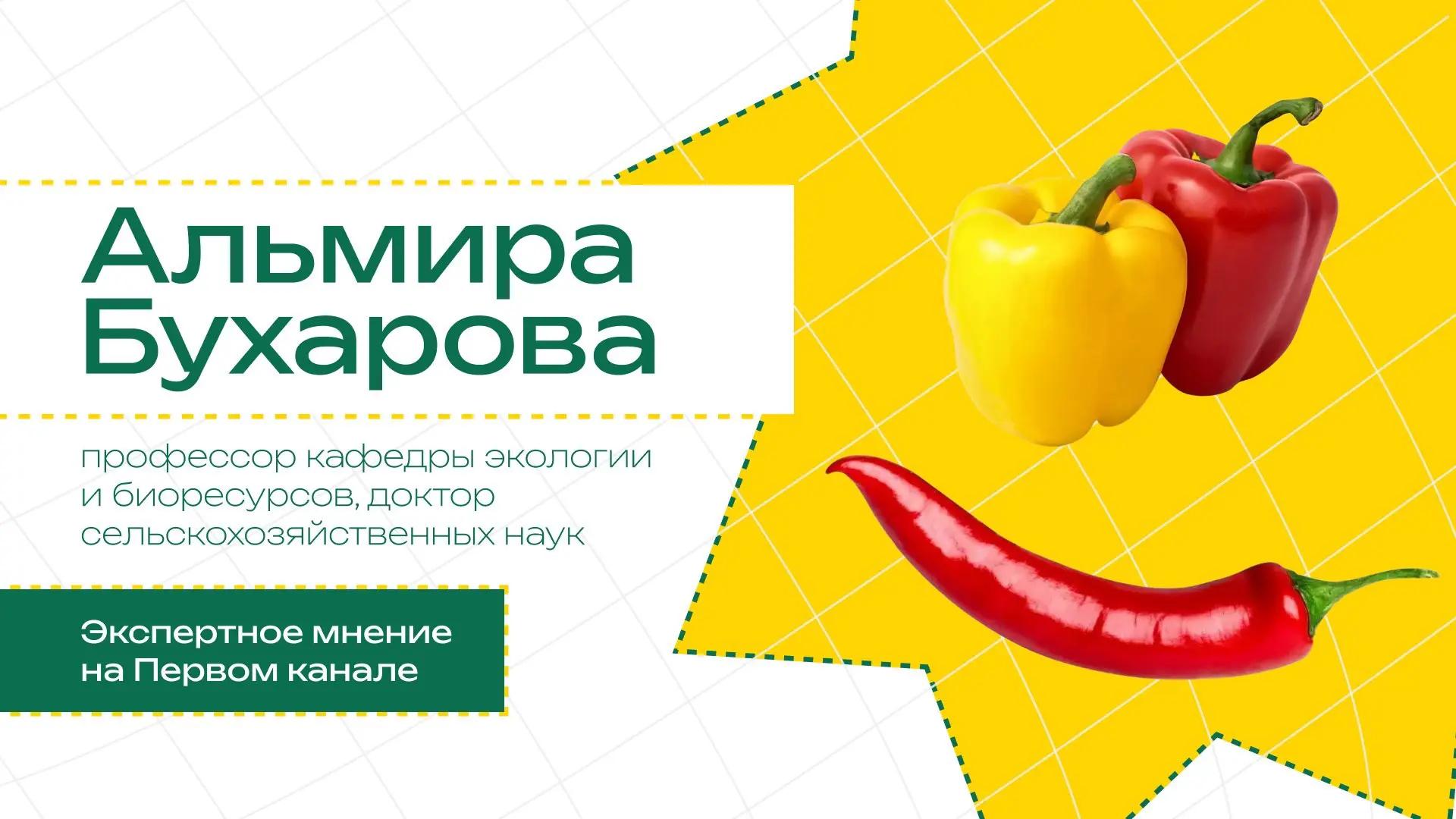 Профессор Университета Вернадского раскрыла секрет цвета перца в эфире «Первого канала»