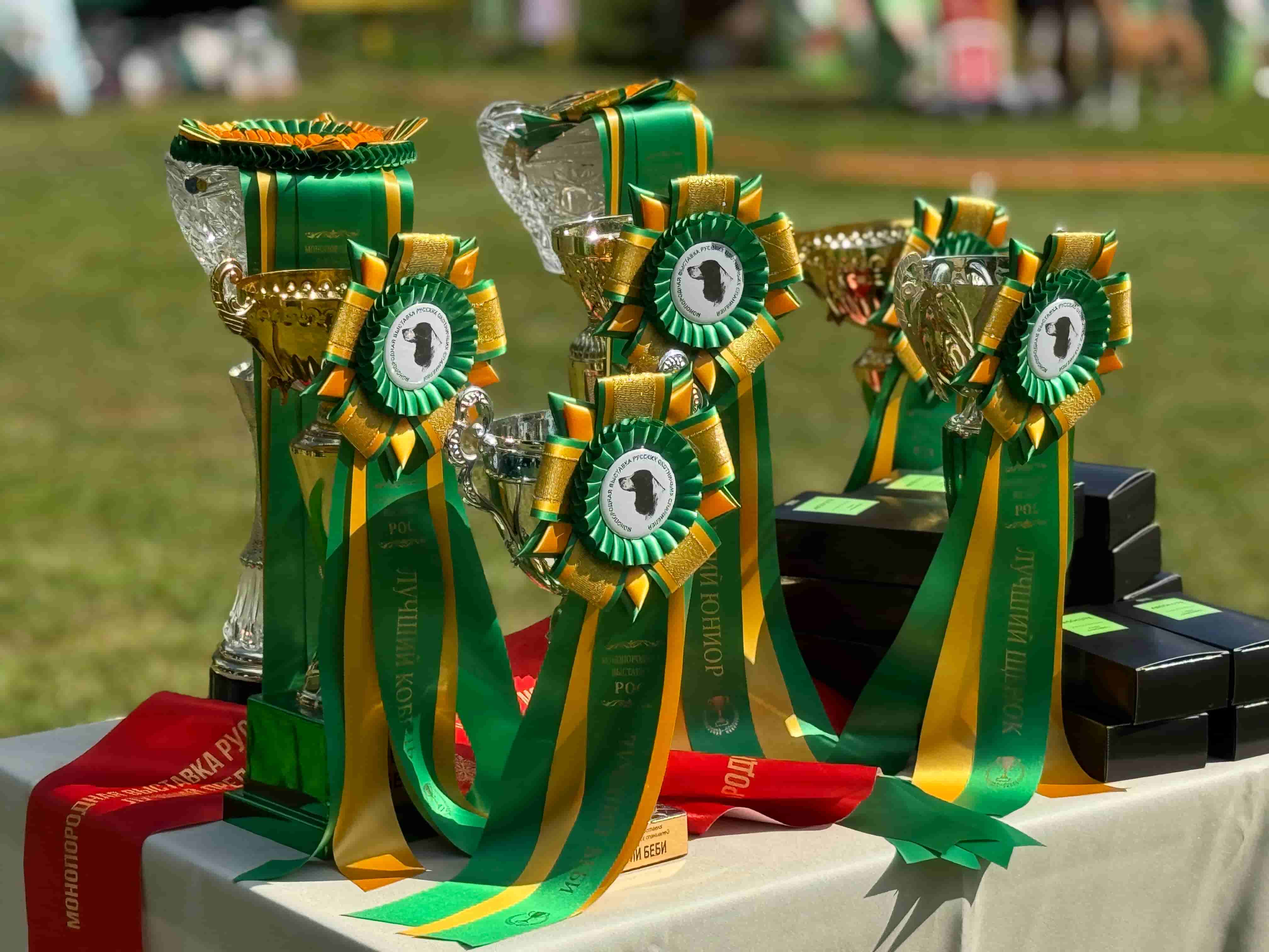 Верные друзья и настоящие чемпионы