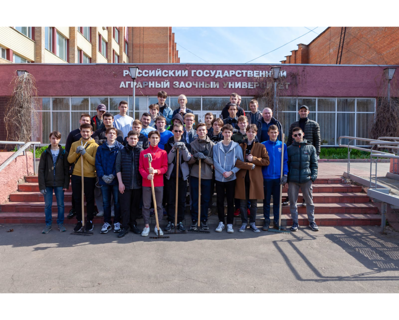 Вектор чистоты