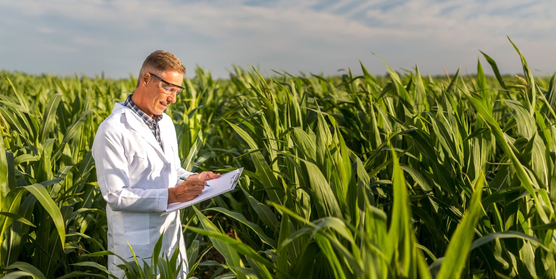 Агробизнес