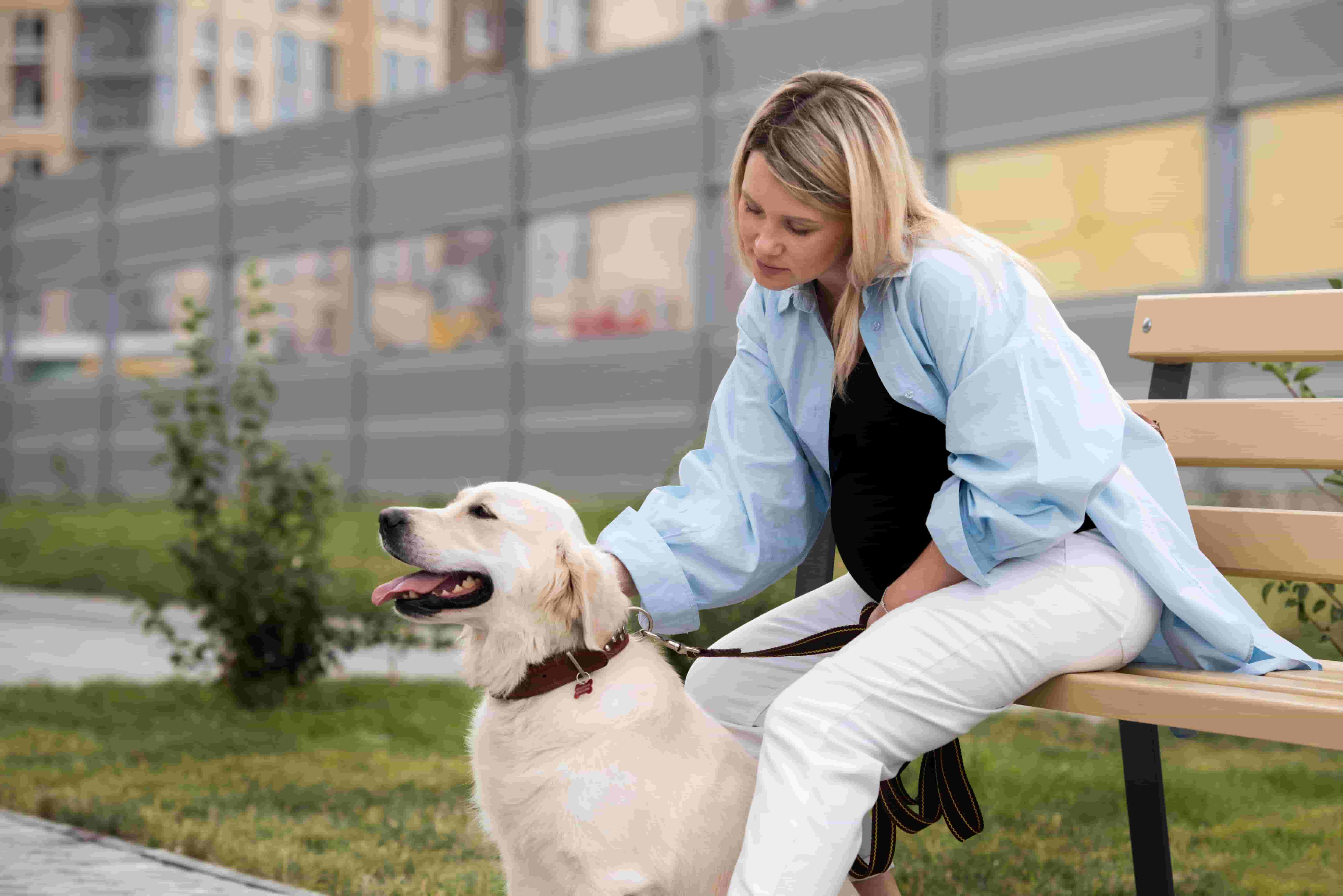 Непродуктивное животноводство: кинология