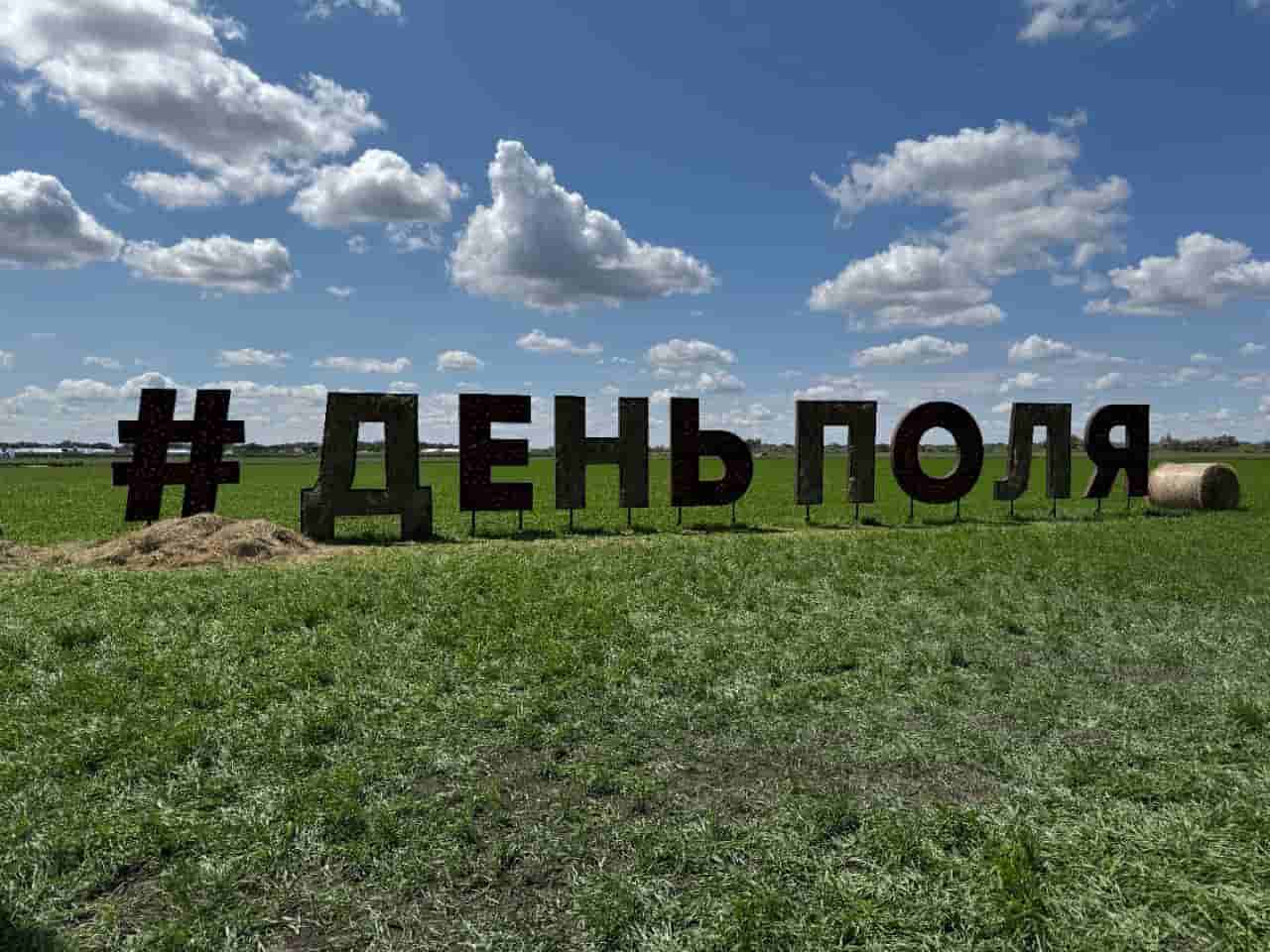 Университет Вернадского на Всероссийском дне поля - 2025