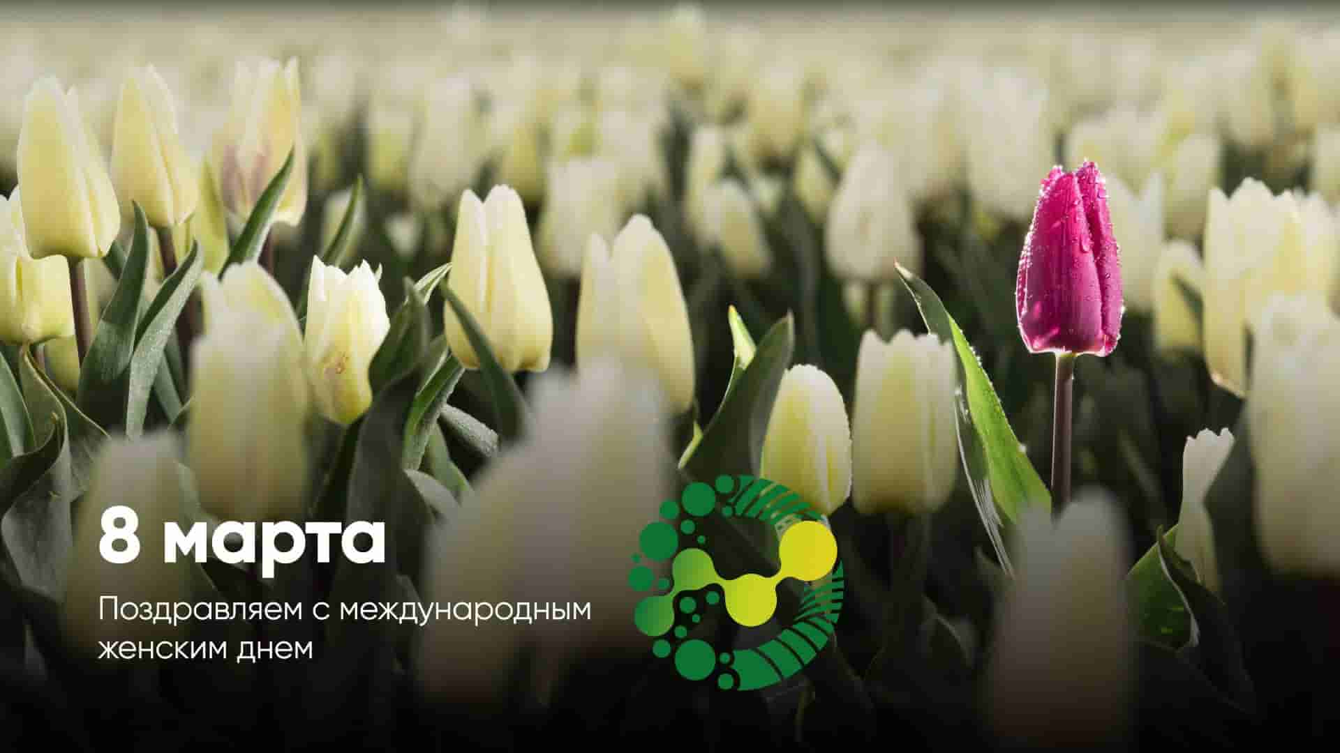 Поздравление ректора Елены Певцовой с 8 Марта