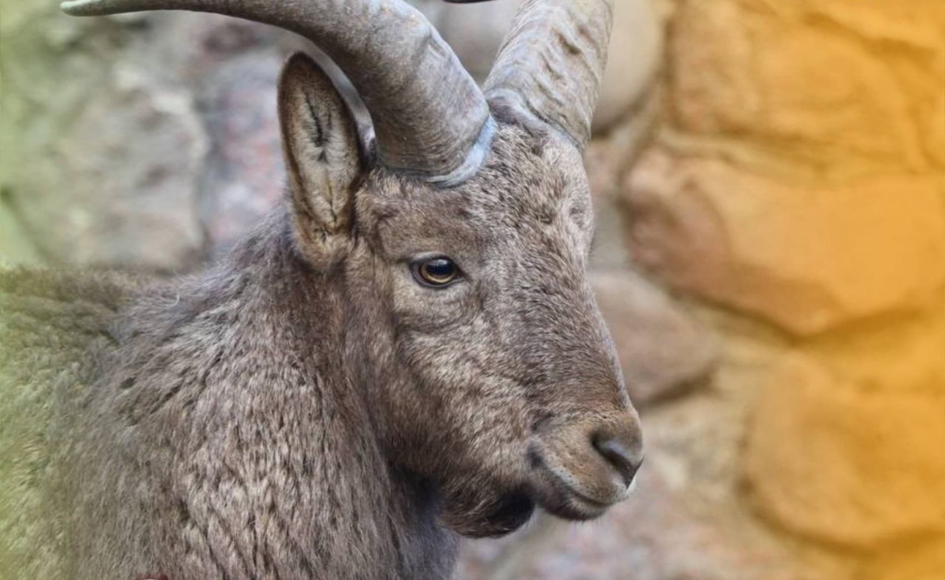 Университет Вернадского в Московском зоопарке