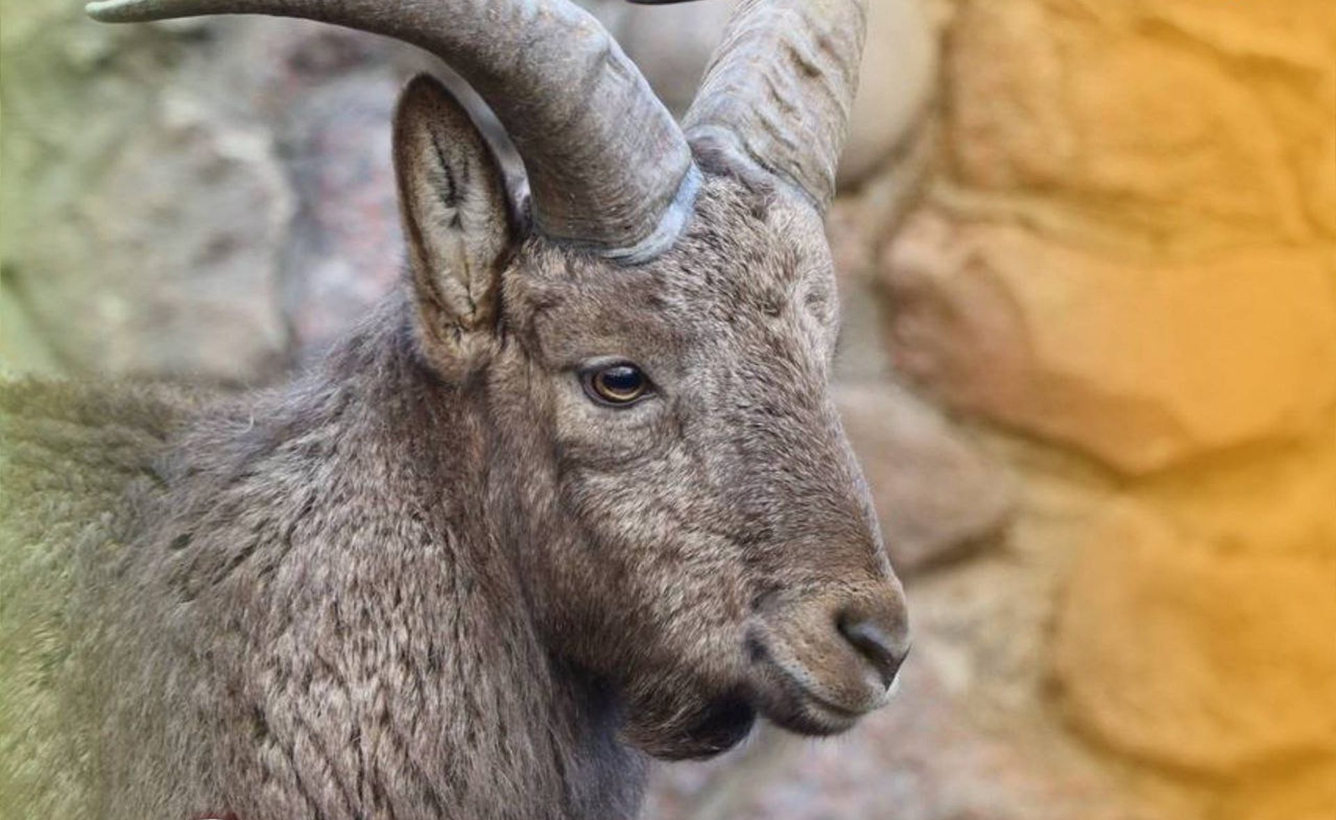 Университет Вернадского в Московском зоопарке